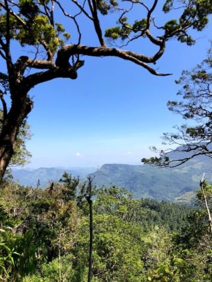 Knuckles Mountain Range-2